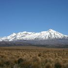 Tongariro National Park