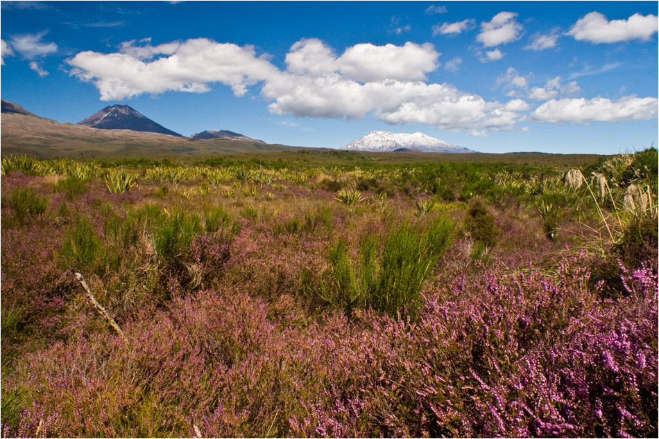 Tongariro National Park | New Zealand