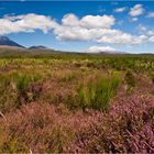 Tongariro National Park | New Zealand