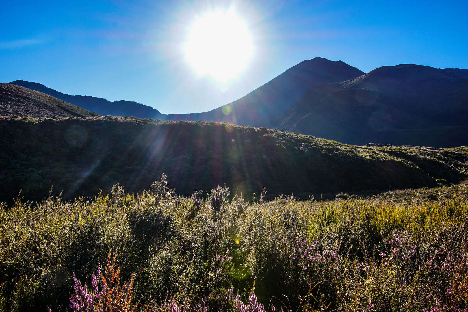 Tongariro National Park / New Zealand 