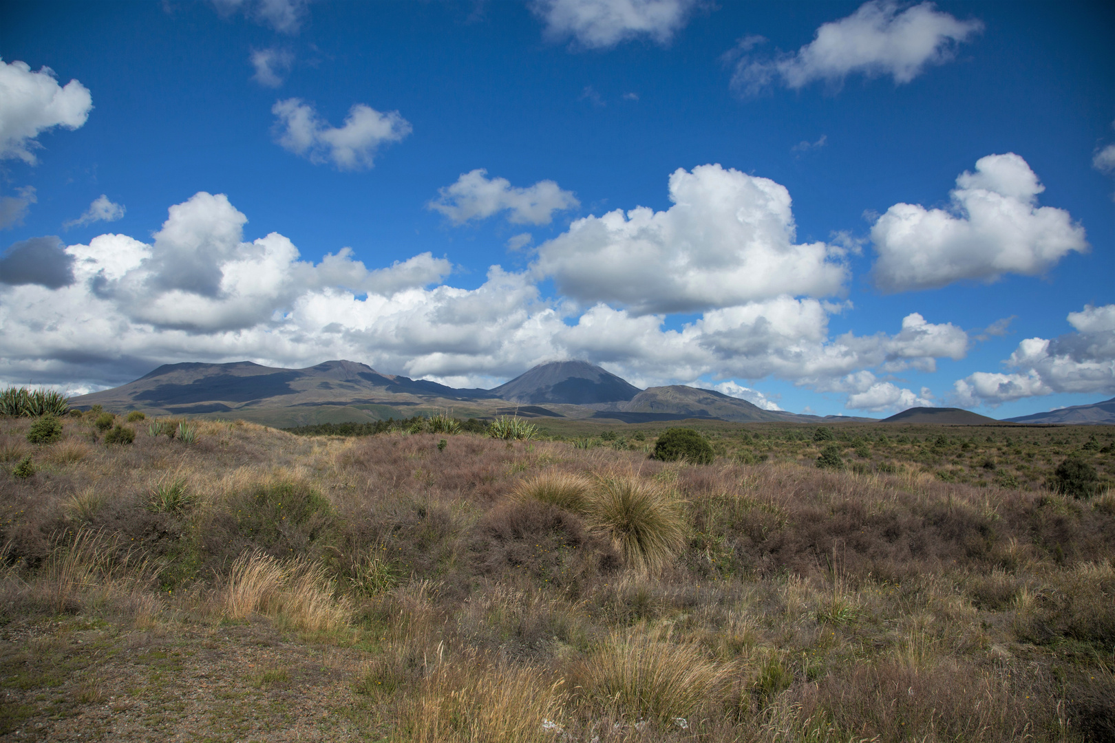 Tongariro Nationalpark