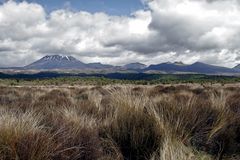 Tongariro NP