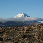 Tongariro NZ