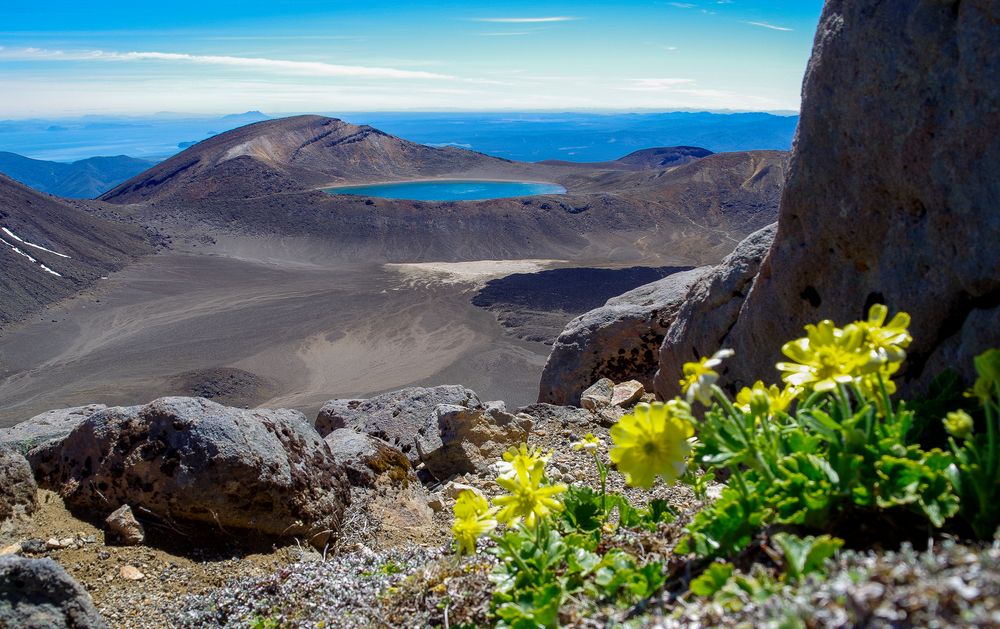 Tongariro Park 2