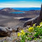 Tongariro Park 2