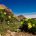 Tongariro Park