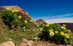 Tongariro Park