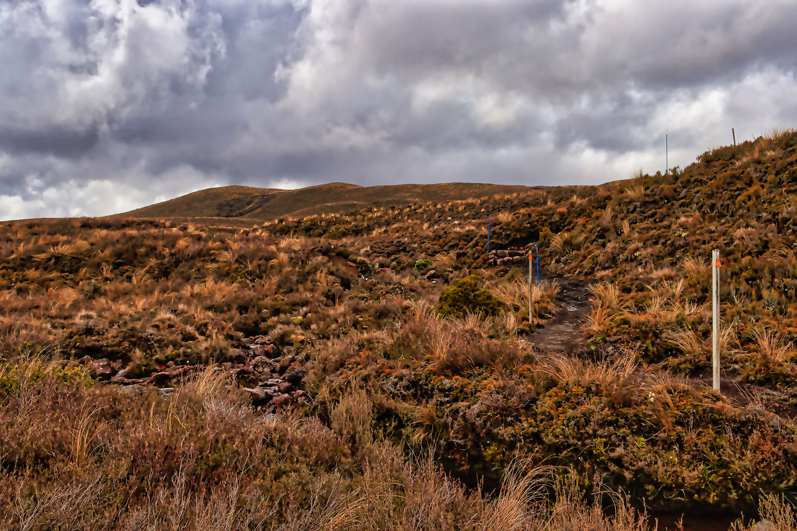 Tongariro Plateau