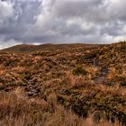 Tongariro Plateau