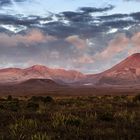 Tongariro Sunset