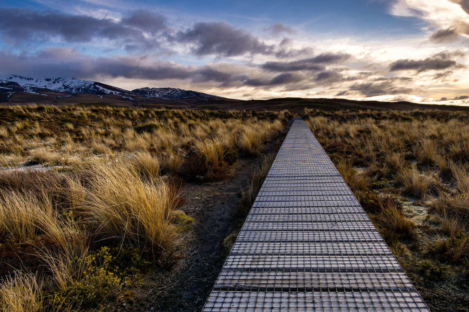 Tongariro Walk