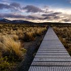 Tongariro Walk
