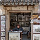 Tongli Painter