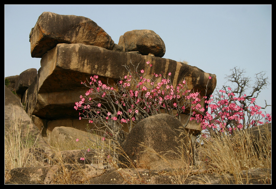 ... Tongo Hills, Ghana ...