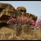 ... Tongo Hills, Ghana ...