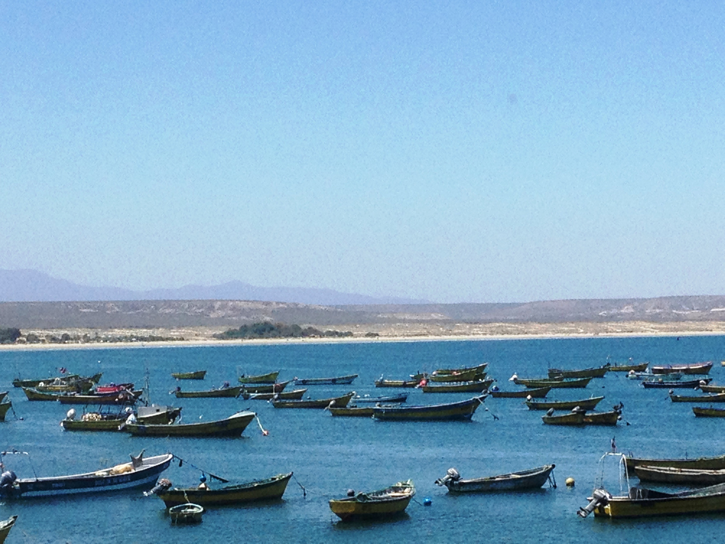 Tongoy, Chile