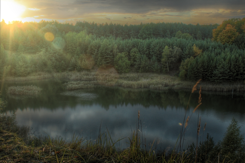 Tongrube am Werbellinsee