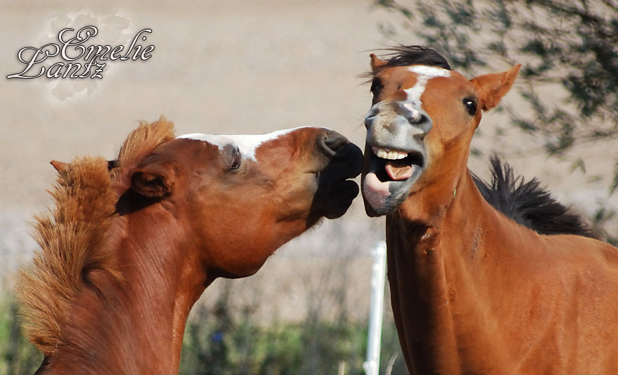 Tongue kiss?