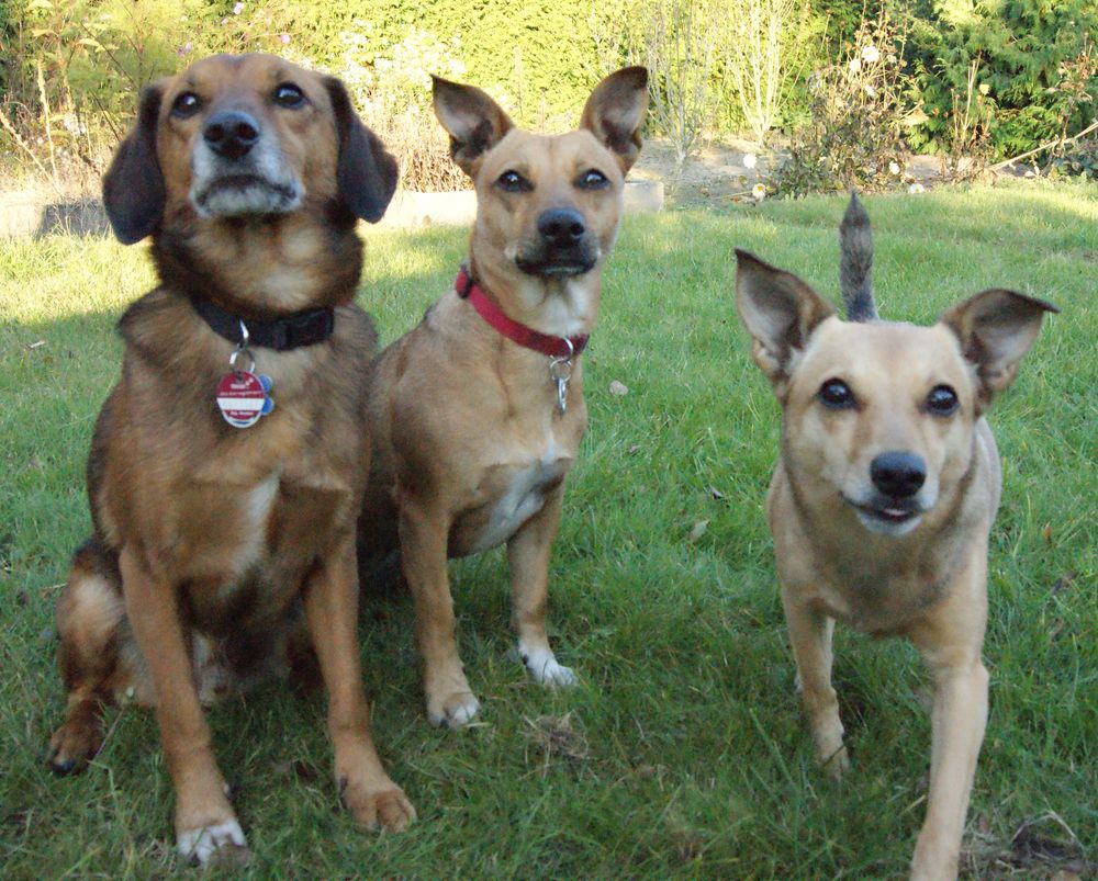 Toni, Gina und Sissy