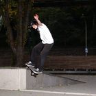 Toni Ponzer - Lipslide