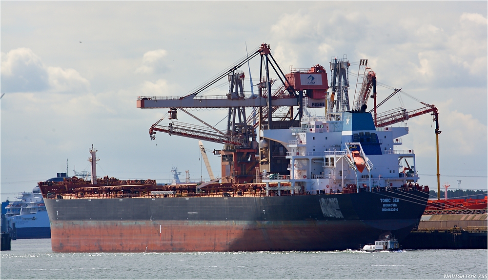 TONIC SEA / Bulk Carrier / Rotterdam