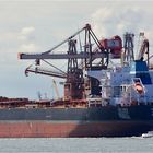 TONIC SEA / Bulk Carrier / Rotterdam