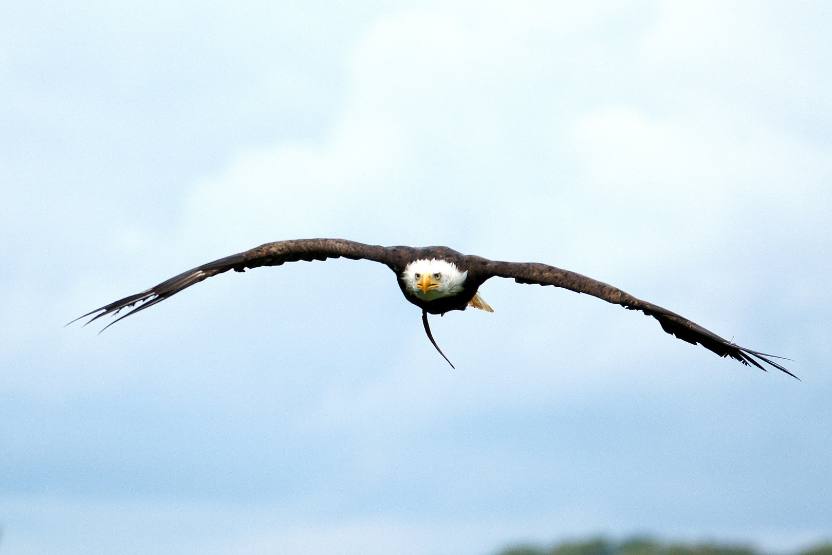 TONKA IM ANFLUG