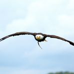 TONKA IM ANFLUG