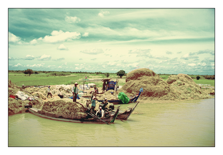 tonle sap