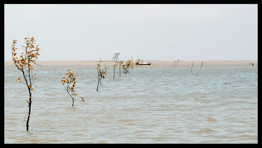 Tonle Sap See