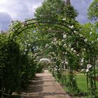 Tonnelle de rosiers dans le parc des „Prés d’Eugénie“