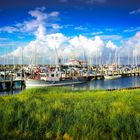 Tonnenhafen Amrum