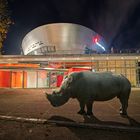 Tonnenschwerer Hauptgewinn