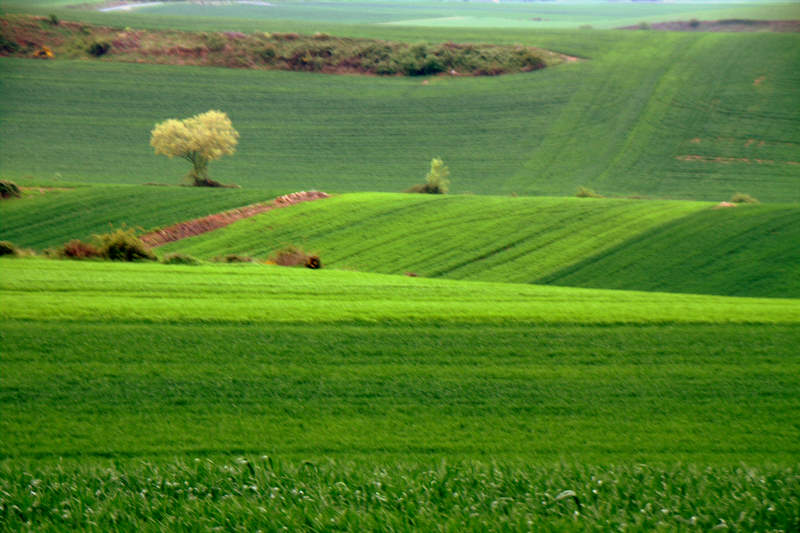 Tonos de la Rioja.