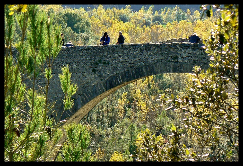 tonos otoñales