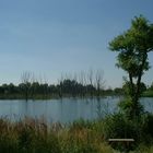 Tonstichsee in Gransee