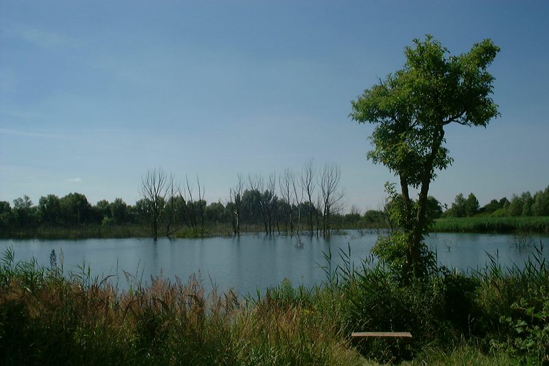 Tonstichsee in Gransee