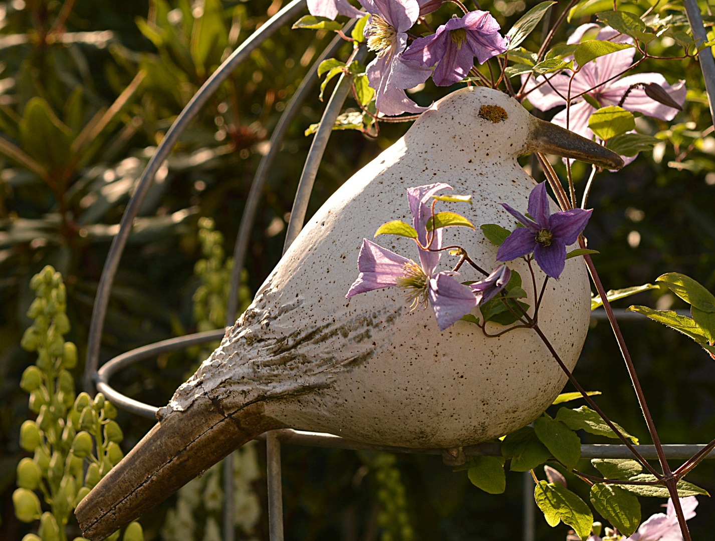 Tontaube mit Clematis (Waldrebe)