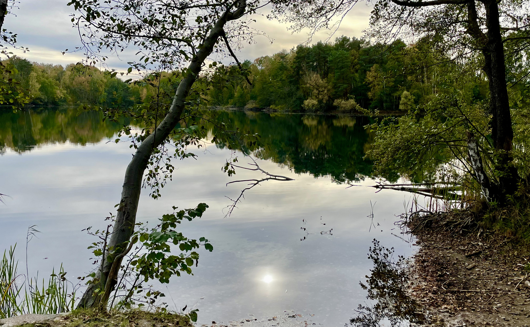 Tonteich im Herbst