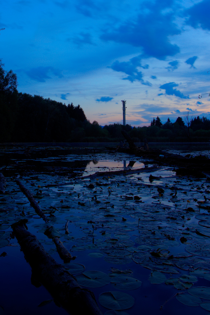 Tonwerkweiher zur blauen Stunde