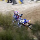 Tony Cairoli