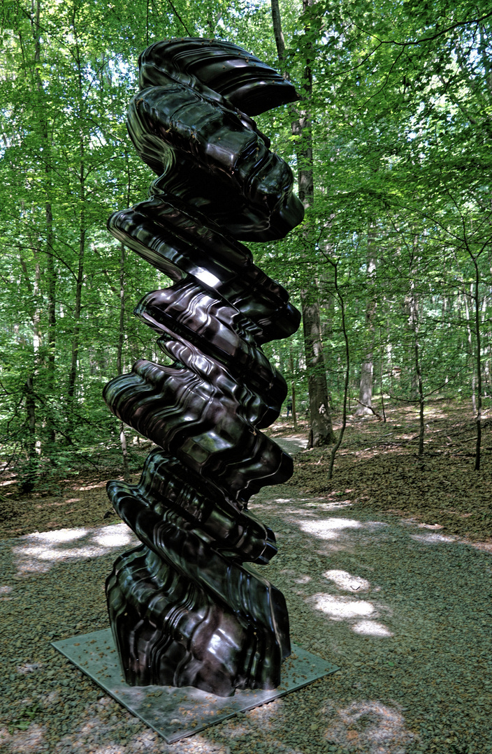 Tony Cragg - Ever Afther