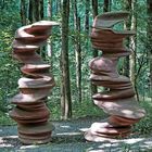 Tony Cragg - Here Today gone Tomorrow