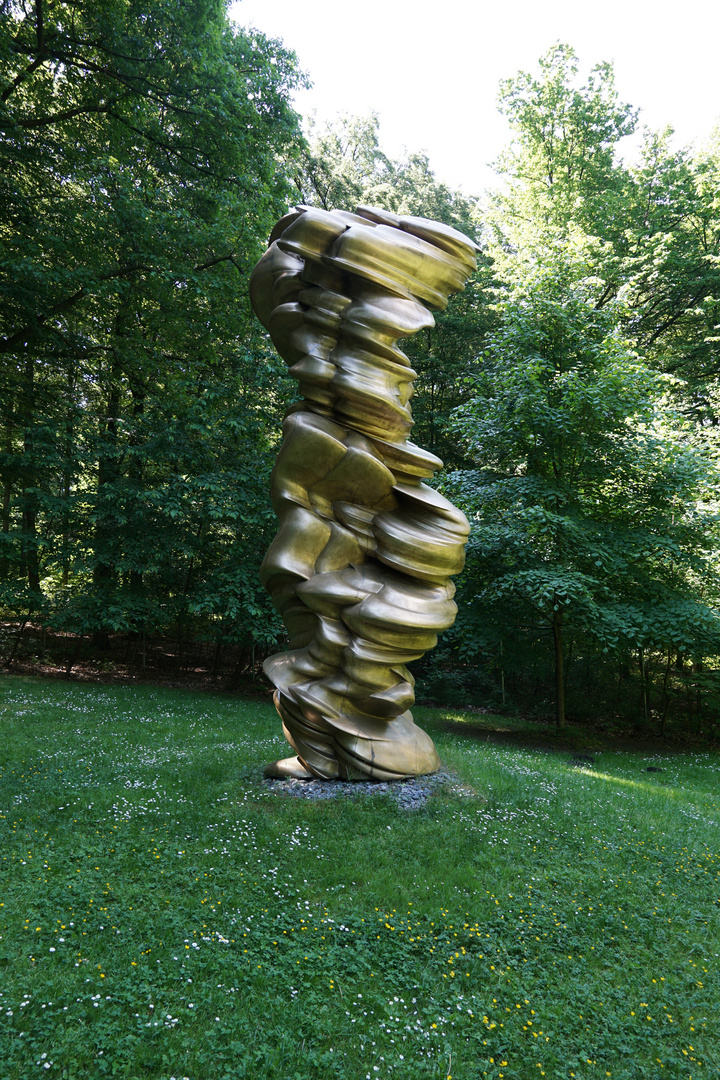 Tony Cragg  - Mixed Feelings