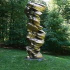 Tony Cragg  - Mixed Feelings