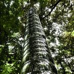 Tony Craggs Photon (2008, Edelstahl). Skulpturenpark Waldfrieden, Wuppertal 2022