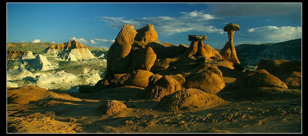 Toodstool Valley