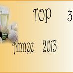 top 2013