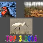 TOP  3   2016