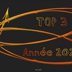 top 3 2021